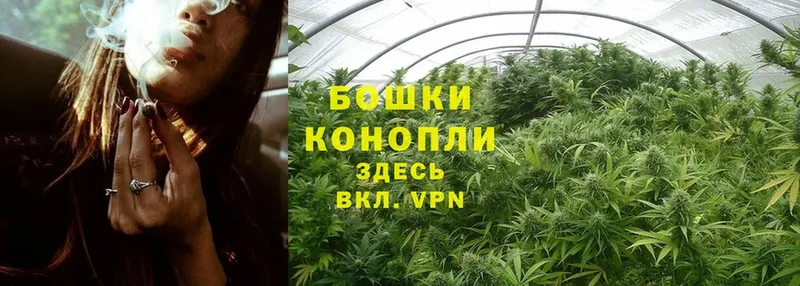 Бошки марихуана THC 21%  Котельниково 